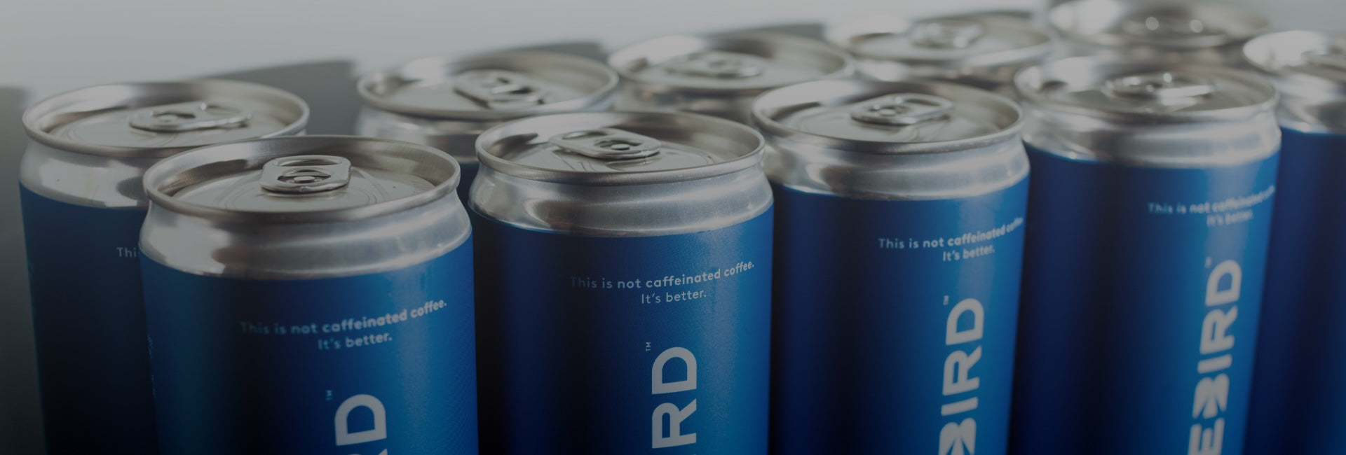 【新品未使用】NICENESS RAREBIRD Rarebird Px Coffee | Paraxanthine for Better Focus, Energy