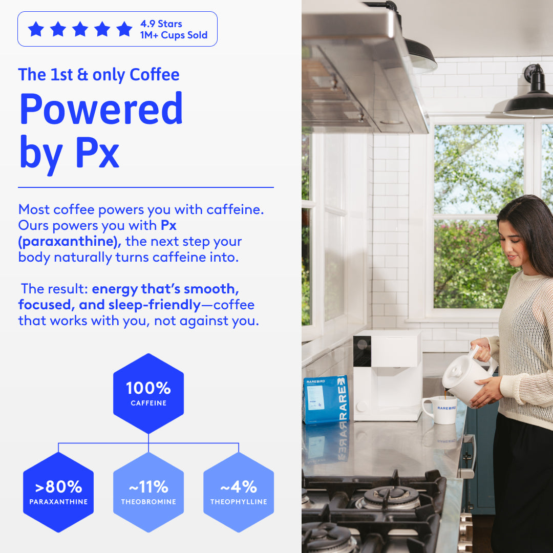 Px Coffee | Whole Bean & Ground – Rarebird Coffee